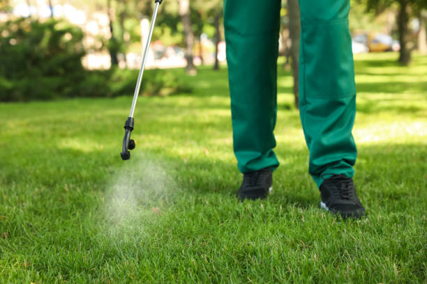 Best Flea Control Services  in Rancho Laveras, CA