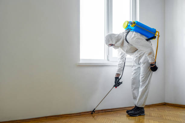 Best Pest Control for Homes  in Rancho Laveras, CA