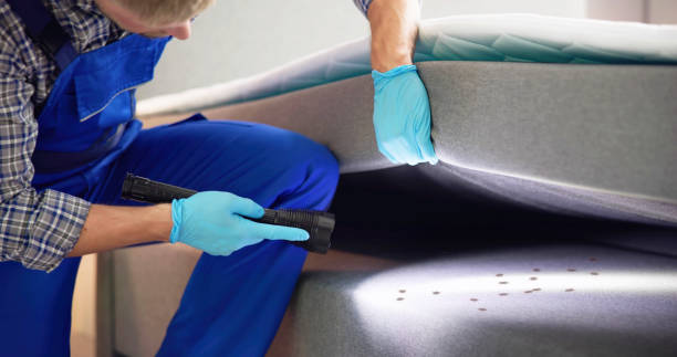 Best Local Pest Control Services  in Rancho Laveras, CA