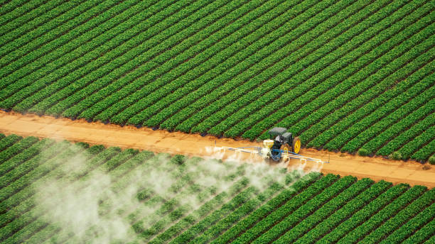 Best Mosquito Control Services  in Rancho Laveras, CA