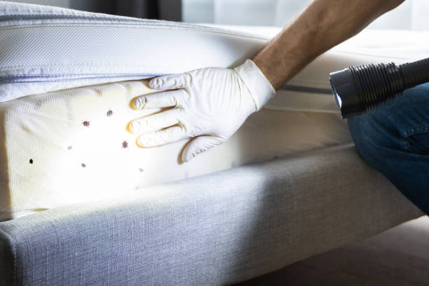 Best Exterminator Services  in Rancho Laveras, CA
