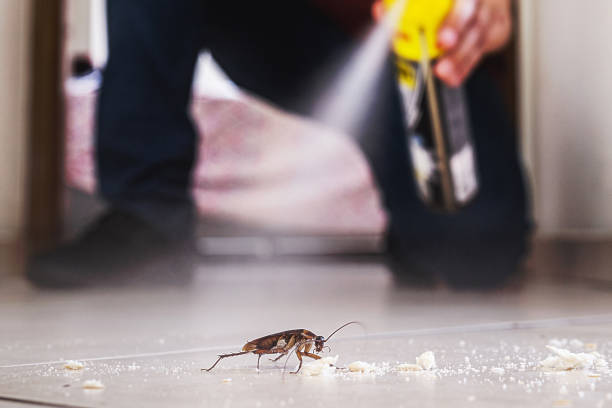 Rancho Calaveras, CA Pest Control Company